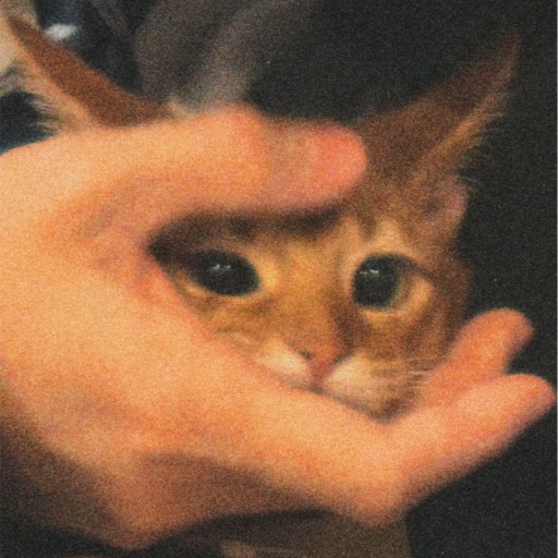 avatar Ася